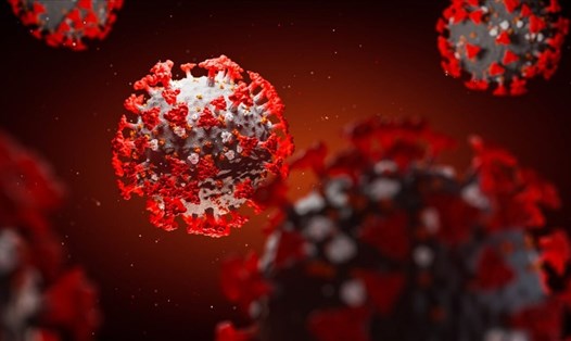 Các nhà nghiên cứu Mỹ tìm ra kháng thể có thể “vô hiệu hóa hoàn toàn và chính xác” virus SARS-CoV-2. Ảnh: Fox News.