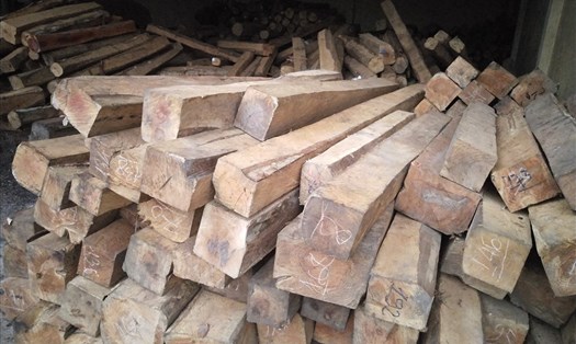 Cơ quan chức năng Gia Lai phát hiện, xử lý nhiều vụ vận chuyển, tàng trữ gỗ lậu. Ảnh TT