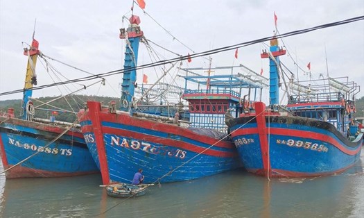 Thừa Thiên Huế cấm tàu thuyền ra khơi ứng phó bão số 5. Ảnh minh họa.