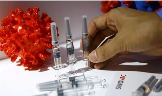 Sinovac có kế hoạch mở rộng đối tượng thử nghiệm lâm sàng vaccine COVID-19 vào cuối tháng này. Ảnh: Reuters