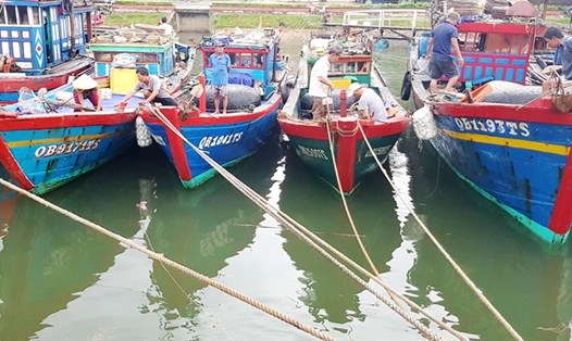 Ngư dân Quảng Bình neo đậu tàu thuyền vào vị trí an toàn để phòng chống bão số 5. Ảnh: Lê Phi Long