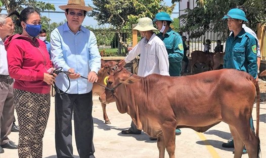 Nguyên Chủ tịch Nước Trương Tấn Sang tặng bò cho người dân vùng Đồng Tháp Mười (Long An) tháng 9.2020. Ảnh: L.T.P