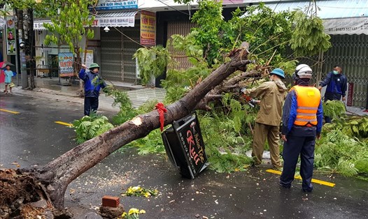 Bão số 5 làm ngã đổ nhiều cây xanh trên nhiều tuyến phố ở Đà Nẵng. Ảnh: Hữu Long