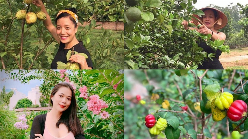 Chiều Xuân, Mỹ Lệ có khu vườn rộng trồng nhiều cây ăn quả. Ảnh: NSCC