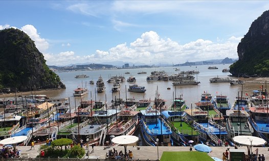 Tàu đưa du khách tham quan Động Thiên Cung, vijh Hạ Long. Ảnh: Nguyễn Hùng