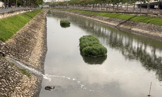 Sông Tô Lịch đang ô nhiễm nặng. Ảnh ĐH