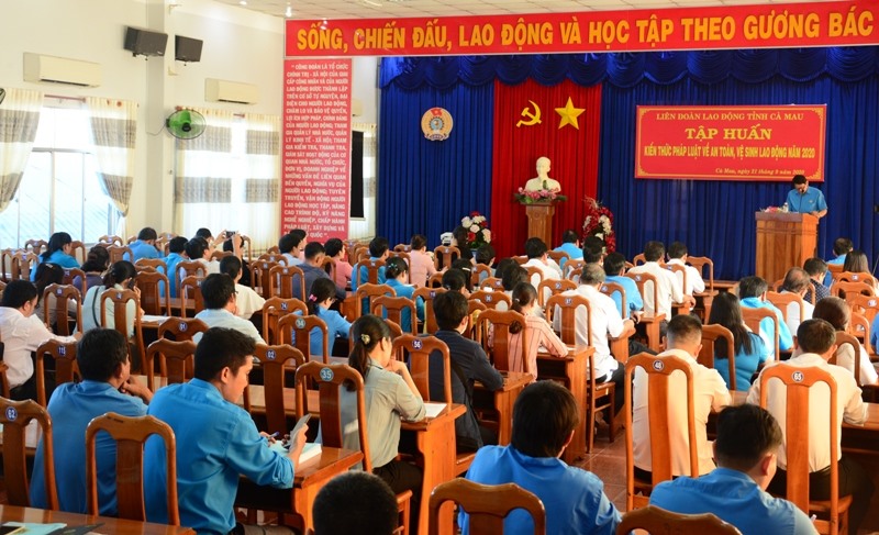 LĐLĐ tỉnh Cà Mau tập huấn an toàn vệ sinh lao động. Ảnh Nhật Hồ.