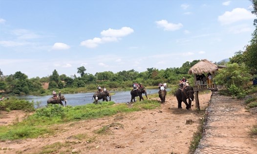Một đoàn khách du lịch cưỡi voi vượt sông Sêrêpốk (đoạn qua địa phận Buôn Đôn, Đắk Lắk). Ảnh Minh Thuận