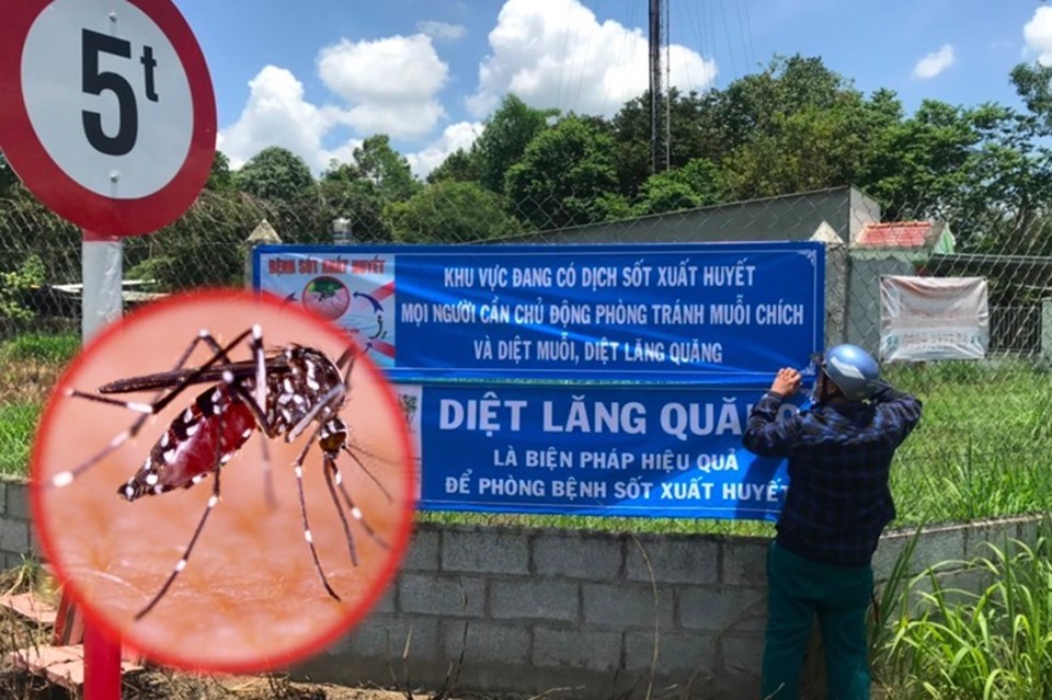 Số ca mắc sốt xuất huyết sẽ tăng cao vào cuối năm. Ảnh: Ngọc Lê Số ca mắc sốt xuất huyết sẽ tăng cao vào cuối năm. Ảnh: Ngọc Lê