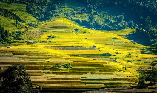 Sa Pa là điểm đến luôn thu hút du khách trong thời gian này. Ảnh: Trang.
