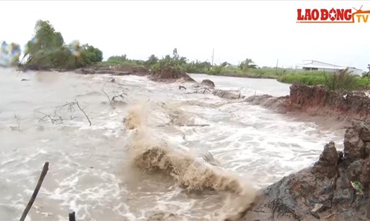 Sạt lở đê biển Tây.