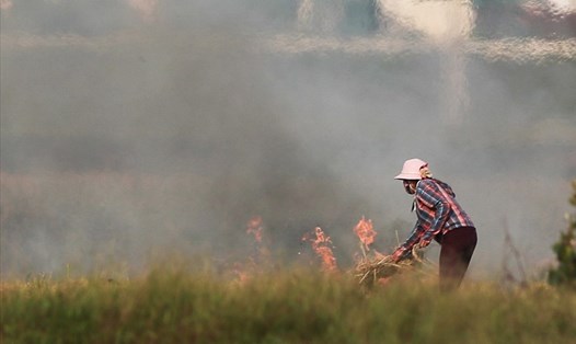 Hoạt động đốt rơm rạ diễn ra ở ngoại thành Hà Nội. Ảnh: Tô Thế