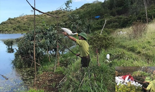 Cán bộ Kiểm lâm huyện Lộc Hà thu gom cò giả mà một số người dân xã Thịnh Lộc giăng ra để bẫy chim trời. Ảnh: Lộc Hà.