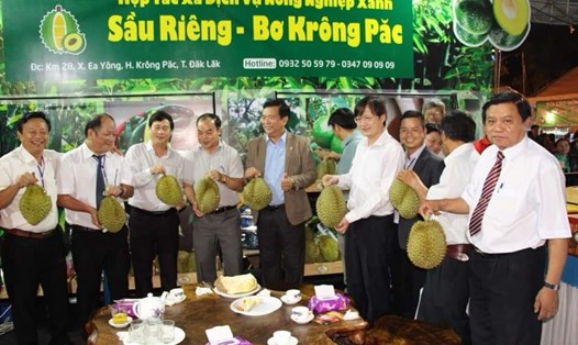 Sầu riêng là một trong những loại trái cây xuất khẩu chủ lực của huyện Krông Pắk nói riêng và Đắk Lắk nói chung được giới thiệu tại hội chợ nông sản. Ảnh T.X
