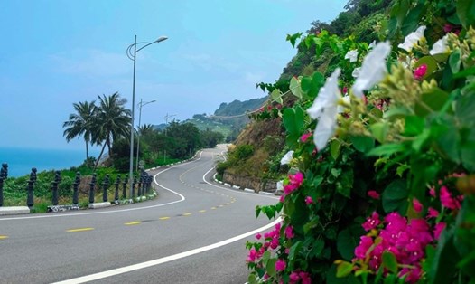 Đà Nẵng xây dựng đề án bảo tồn sinh học khu vực Bà Nà – Núi Chúa tầm nhìn đến năm 2045. Ảnh: Hoàng Vinh