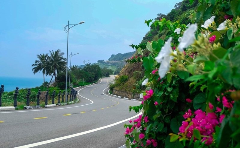 Đà Nẵng xây dựng đề án bảo tồn sinh học khu vực Bà Nà – Núi Chúa tầm nhìn đến năm 2045. Ảnh: Hoàng Vinh