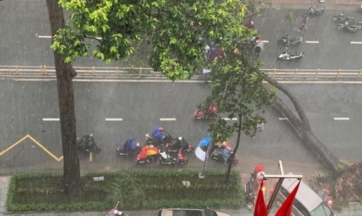 Hiện trường cây gãy đè chết người trên đường Nguyễn Tri Phương (quận 10, TPHCM). Ảnh: Lê Phong