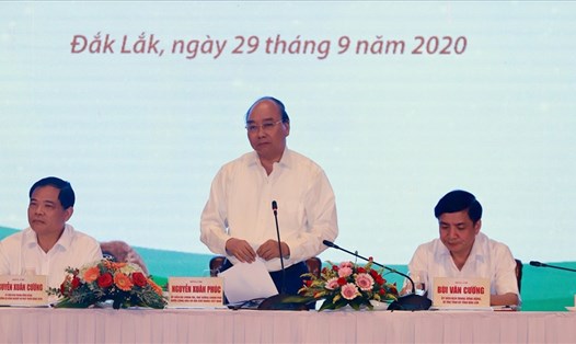 Thủ tướng Nguyễn Xuân Phúc chủ trì hội nghị tìm hướng phát triển phù hợp cây mắc ca. Ảnh: Vũ Long
