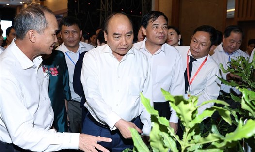Thủ tướng Nguyễn Xuân phúc thăm khu trưng bày cây mắcca tại Hội nghị đánh giá kết quả 5 năm (2016-2020) phát triển ngành hàng mắcca tại Việt Nam ngày 29.9. Ảnh:TTXVN