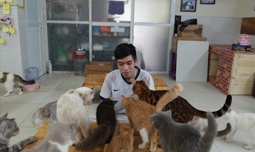 Nguyễn Thanh Bình chăm sóc 20 chú mèo. Ảnh: Thanh Nga