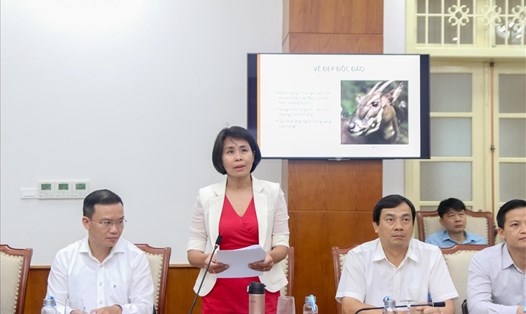Bà Lê Thị Hoàng Yến công bố cuộc thi sáng tác biểu trưng, biểu tượng vui, bài hát và khẩu hiệu của SEA Games 31 tại Hội nghị lần thứ nhất của Ban tổ chức hôm 29.9. Ảnh: Bùi Lượng