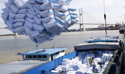 Xuất khẩu gạo Đồng bằng Sông Cửu Long sang Châu Âu. Ảnh: TTXVN