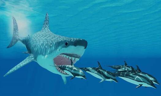 Hình ảnh mô phỏng con cá mập Otodus megalodon bơi sau đàn cá heo. Ảnh: Guardian