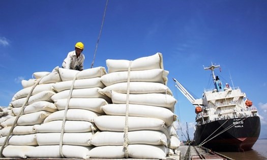 Gạo xuất khẩu và gạo tiêu dùng trong nước đều phải đảm bảo an toàn thực phẩm. Ảnh minh họa: Vũ Long