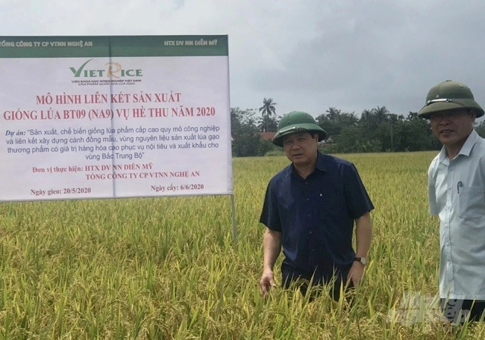Ứng dụng khoa học và công nghệ trong xây dựng mô hình liên kết sản xuất lúa  gạo chất lượng cao tại thành phố Hà Nội  Cổng thông tin Khoa học