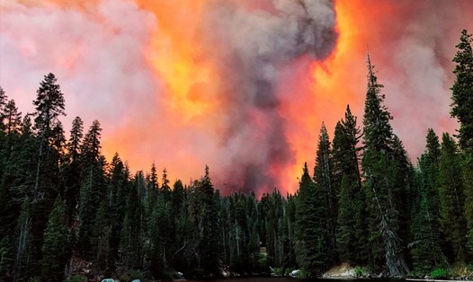 California tuyên bố tình trạng khẩn cấp đối với 5 quận vào hôm 6.9 do cháy rừng trầm trọng. Ảnh: AP