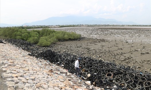 Hàng nghìn vỏ lốp xe được người dân tập kết, sử dụng nuôi hàu tại Đầm Nại, huyện Ninh Hải, Ninh Thuận. Ảnh: D.Q