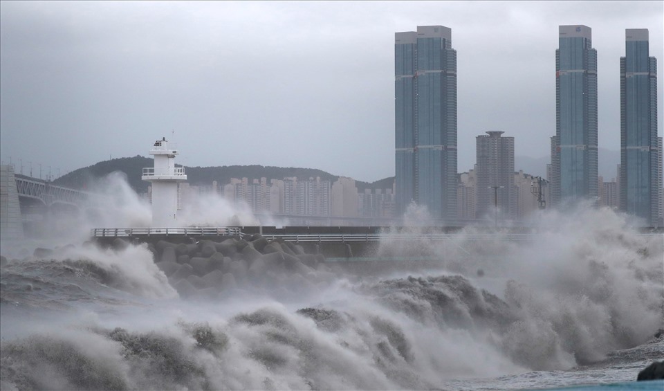 Bão Haishen đổ bộ Busan, Hàn Quốc, ngày 7.9. Ảnh: AFP