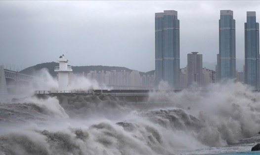 Bão Haishen đổ bộ Busan, Hàn Quốc, ngày 7.9. Ảnh: AFP