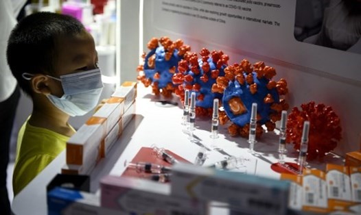Vaccine COVID-19 của hãng dược Trung Quốc Sinovac trưng bày tại Hội chợ Thương mại Dịch vụ Quốc tế Trung Quốc (CIFTIS) ở Bắc Kinh. Ảnh: AFP.