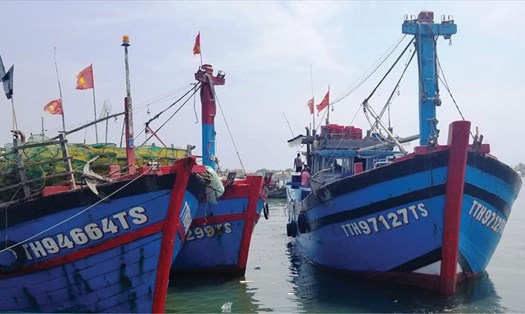 EC sẽ không gỡ thẻ vàng IUU néu tàu cá Việt Nam không lắp thiết bị giám sát hành trình, vi phạm vùng khai thác. Ảnh minh họa: Lê Thọ