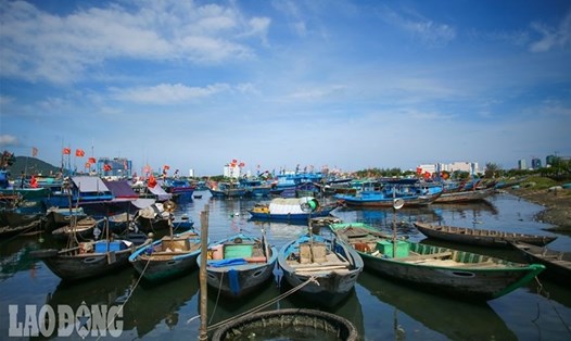 Âu thuyền Thọ Quang từ lâu là điểm đen ô nhiễm môi trường tại Đà Nẵng.