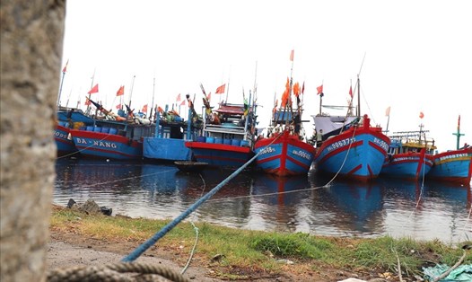Âu thuyền Thọ Quang, Đà Nẵng.
