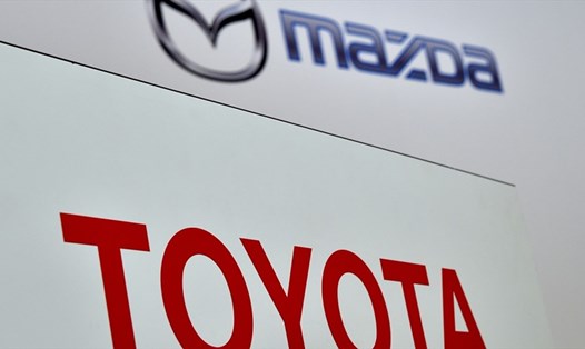 Vị trí của các thương hiệu xe trong top 3 đã hoàn toàn bị thay đổi, đứng đầu là Mazda, tiếp theo sau đó là Toyota và Lexus. Ảnh: AFP.