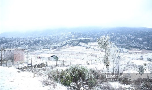Tuyết rơi ở Y Tý - Lào Cai. Ảnh: Tô Thế