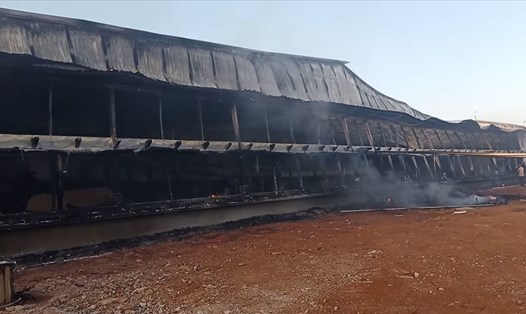 Trang trại nuôi lợn ở Bình Phước bị lửa thiêu rụi. Ảnh:T.Thành