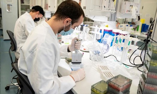 Các nhà nghiên cứu Na Uy sàng lọc và phân tích các mẫu dương tính COVID-19 trong phòng thí nghiệm để tìm biến chủng B117. Ảnh: Aalborg University