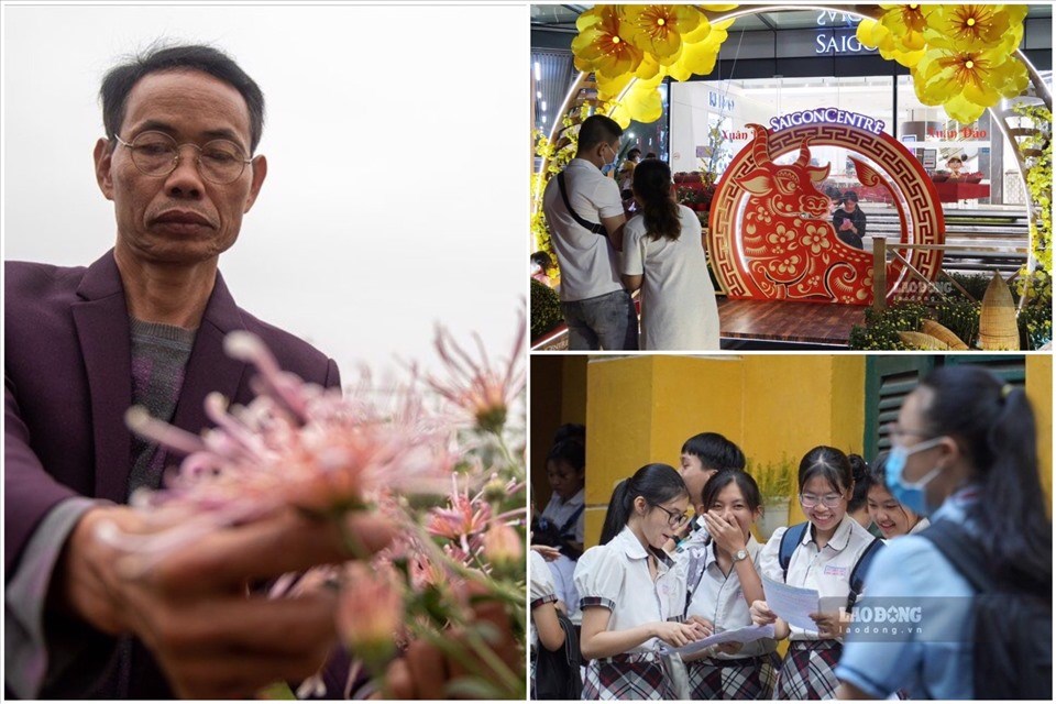 Nhịp sống 24h. Nhịp sống 24h.