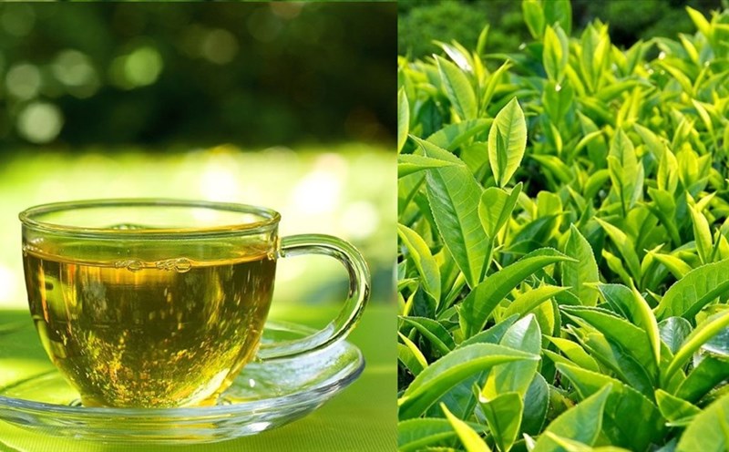 Cách uống trà xanh như thế nào để tốt cho sức khỏe?