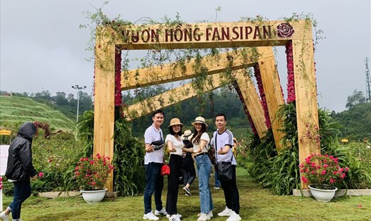 Khách du lịch chụp hình tại vườn hồng lớn nhất Sapa. Ảnh: KN