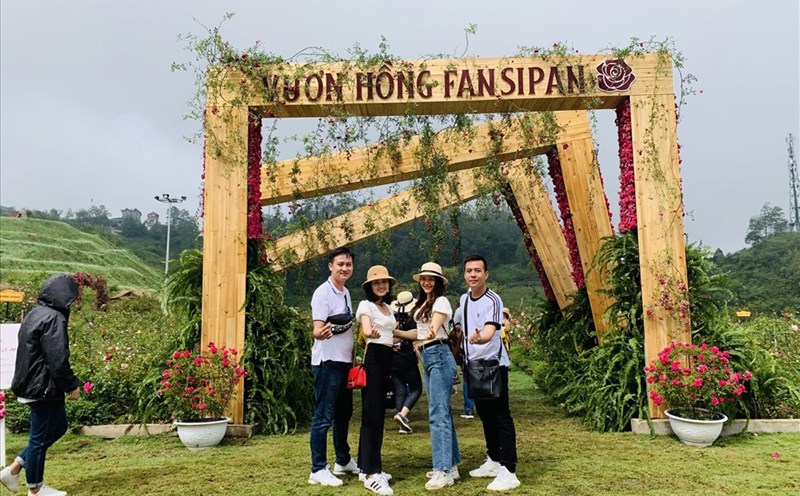Khách du lịch chụp hình tại vườn hồng lớn nhất Sapa. Ảnh: KN