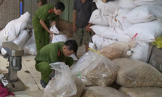 Lực lượng chức năng ở Bình Phước buộc tiêu hủy gần 6 tấn hạt điều kém chất lượng rao bán trên mạng xã hội với giá rẻ. Ảnh: T.Thành