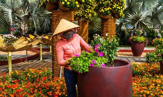 Đà Nẵng chi phí 11,1 tỷ trang trí hoa, đèn chiếu sáng đón Tết Tân Sửu. Ảnh: HV