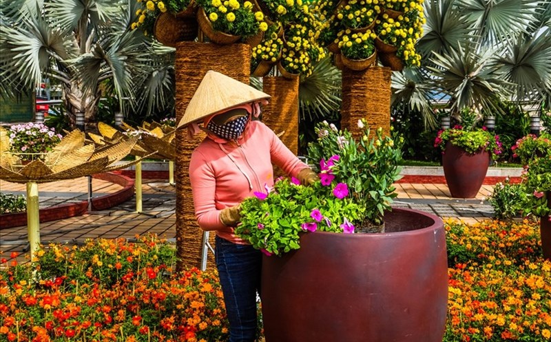 Đà Nẵng chi phí 11,1 tỷ trang trí hoa, đèn chiếu sáng đón Tết Tân Sửu. Ảnh: HV