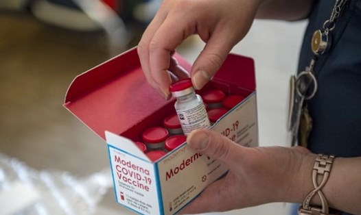 Chính phủ Mỹ đang xem xét ý tưởng cắt giảm một nửa liều vaccine COVID-19 của Moderna để tăng tốc độ triển khai tiêm chủng. Ảnh: AFP