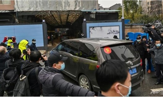 Xe của phái đoàn điều tra quốc tế do WHO dẫn đầu đi vào bên trong khu chợ hải sản Hoa Nam ở Vũ Hán, Trung Quốc, ngày 31.1. Ảnh: AFP